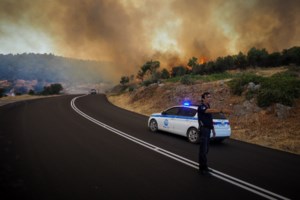 Φωτιά στην Εύβοια: Η εικόνα που ραγίζει καρδιές - Νεογέννητο μοσχαράκι παλεύει για κάθε του ανάσα δίπλα στους εθελοντές