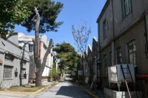 Δήμος Αθηναίων: Τα πρώτα 70 "έξυπνα ρολόγια" για τους ευάλωτους- Ποιους αφορά, πώς θα λειτουργούν