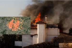 Reuters: Η φωτογραφία με το καμένο σκυλί στην Παλλήνη που συγκλονίζει - εικόνα 2