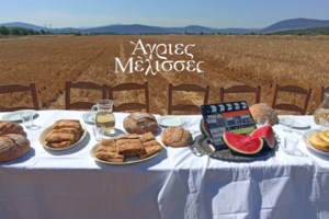 Αγριες Μέλισσες: Προσκύνησε το Twitter στο φινάλε - Αυτή η σκηνή συγκλόνισε περισσότερο, έκλαψαν όλοι