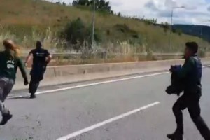 Επιχείρηση απεγκλωβισμού... αρκούδας, από παράνομη παγίδα για αγριογούρουνα [Βίντεο] - εικόνα 2