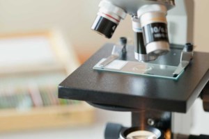 Κομισιόν: Προτείνει σχήμα βραχυχρόνιας εργασίας για την αποφυγή απολύσεων στην ΕΕ - εικόνα 2