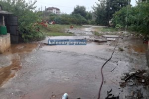 Κακοκαιρία ''Μπάλλος'': Πλημμύρισε ο κάμπος της Ηλείας [Εικόνες] - εικόνα 5