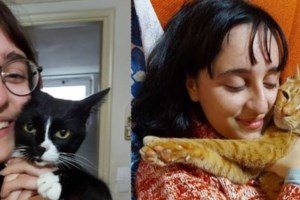 Σαντορίνη: Προσέκρουσε στο λιμάνι του Αθηνιού το πλοίο "Πρέβελη"