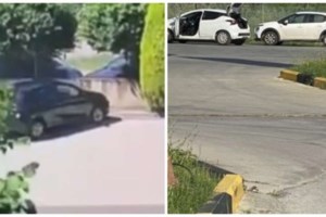 Πώς ο εμφύλιος των Τούρκων μαφιόζων "Ντάλτονς" οδήγησε στη σύλληψή τους - Οι δύο είχαν πάρει... άσυλο