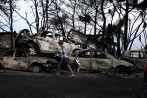 Το σχέδιο κατά των καταστροφικών πυρκαγιών: Καθαρισμός 40.000 στρεμμάτων δάσους και διάνοιξη 1.600 χλμ αντιπυρικών ζωνών