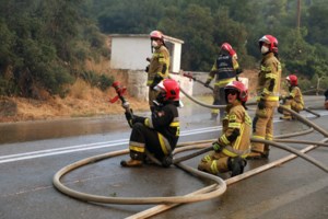 Χρυσοχοΐδης: Οριοθετήθηκε μερικώς η φωτιά στα Βίλια - Ολονύχτιες περιπολίες στρατού και αστυνομίας για πρόληψη πυρκαγιών - εικόνα 4