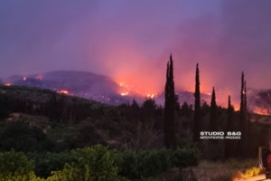 Φωτιά στην Κορινθία: Μεγάλες αναζωπυρώσεις σε Στιμάγκα και Κούτσι - Ενισχύονται οι πυροσβεστικές δυνάμεις [βίντεο]