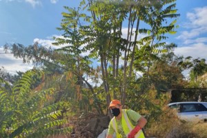Τα Προσφυγικά του Καρέα μπαίνουν σε νέα εποχή - Ριζική αναμόρφωση της περιοχής - εικόνα 2