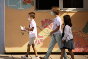 Κορονοϊός: Covid-free έγιναν Άνδρος και Ιθάκη - Στο 0% η θετικότητα στα δύο νησιά - εικόνα 2