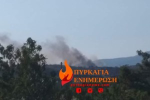 Στη μάχη με τις φλόγες φέτος τα Air Τractors: Στη βάση των πυροσβεστικών αεροσκαφών ο Κυριάκος Μητσοτάκης - εικόνα 4
