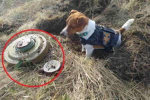 Ουκρανία: Σε πολυτελές κάμπριο BMW "φόρεσαν" πολυβόλο από ρωσικό τανκ - "Ρωσικό πολεμικό πλοίο, άντε γ......" [Βίντεο] - εικόνα 2