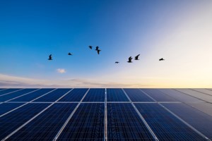 Mytilineos: Συμφωνία 10ετούς διάρκειας με τη Statkraft για πώληση ηλεκτρικής ενέργειας στην Ιταλία