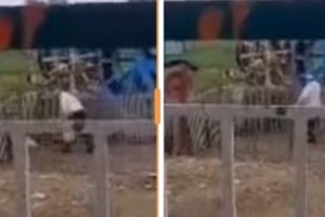 Σέρρες: Σοκαριστικό βίντεο - 8χρονο παιδί κακοποιεί βάναυσα κουτάβι