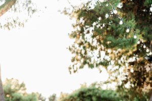 Ανοιχτή κόντρα Ε.Ε. - Γερμανίας για το πρόγραμμα ομολόγων της ΕΚΤ