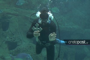 Ιαπωνία: "Επαναστάτησαν" οι πιγκουίνοι - Σνομπάρουν τις φτηνότερες τροφές που αγοράζει το ενυδρείο λόγω πληθωρισμού - εικόνα 2