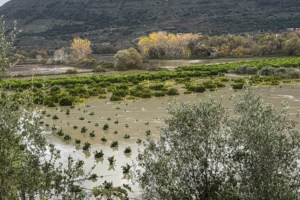 Προειδοποίηση Τσατραφύλλια για την κακοκαιρία: Γραμμή λαίλαπας 200 χλμ. - Πέντε περιοχές στο επίκεντρο