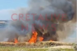 Κρήτη: Υπό πλήρη έλεγχο και χωρίς ενεργό μέτωπο η φωτιά στις Μελέσες Ηρακλείου -Κάηκαν 20 στρέμματα - εικόνα 2