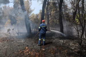 Σφυροκόπημα στη Ράφα: Σφαγή αμάχων καταγγέλλουν οι Παλαιστίνιοι - "Ήταν πλήγμα σε τρομοκράτες", λέει το Ισραήλ - εικόνα 3