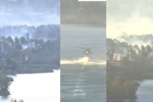 Φωτιά στην Τερψιθέα Γλυφάδας: Εμπρησμό καταγγέλλει ο δήμαρχος -  "Δύο νεαροί έβαλαν τη φωτιά, τους κυνηγήσαμε"