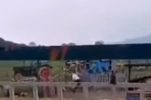 Θεσσαλονίκη: Πρόστιμο 5.000 ευρώ σε 70χρονο μετά από καταγγελία για κακοποίηση ζώου - εικόνα 2