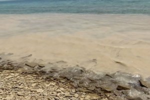 Αυτοψία στη Λήμνο για τη θαλάσσια βλέννα – Τι έδειξαν τα πρώτα ευρήματα