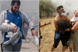 Φωτιά στην Πάρνηθα: Αυτός είναι ο ατρόμητος Λεωνίδας που έσωσε ζώα από τις φλόγες - Γιατί ξέσπασε η έγκυος γυναίκα του - εικόνα 9