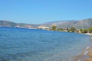 Στην εντατική Βρετανίδα που είχε πάει στην Κύπρο για να γιορτάσει τα 40ά γενέθλιά της: Την δάγκωσε φίδι σε yoga retreat - εικόνα 2