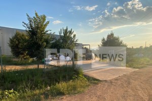 Καλαμάτα: Στον εισαγγελέα ο 50χρονος που έριξε οξύ στην πρώην σύζυγό του - Προθεσμία για να απολογηθεί το Σάββατο - εικόνα 2