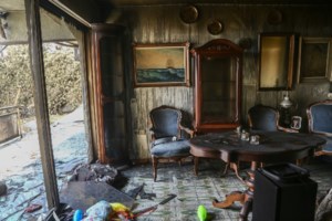 Δίκη για το Μάτι: "Άφήσαμε τον νεκρό αδερφό μου και την φίλη μου μεσοπέλαγα για να μην πνιγούμε κι εμείς" - εικόνα 2