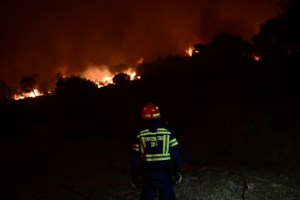 Κανένα ίχνος εμπρησμού: Τι προκάλεσε την τερατώδη φωτιά στην Αττικοβοιωτία - Αυτό είναι το πόρισμα