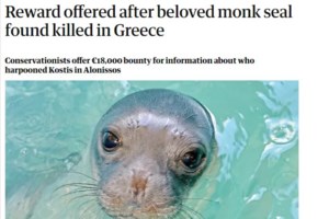 Χάρης Βεραμόν: Δεν θα πρέπει να μένει κανείς ατιμώρητος, όταν έχει δολοφονήσει κάποιο ζώο - εικόνα 6