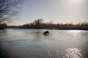 Ροδόπη: Επεισόδιο με πυροβολισμούς- Συνοριοφύλακας τραυμάτισε στο μάγουλο διακινητή μεταναστών