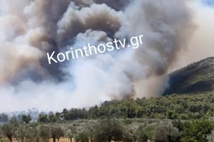 Φωτιές σε Πιερία και Ζάκυνθο: Επιχειρούν ισχυρές επίγειες και εναέριες δυνάμεις - εικόνα 2