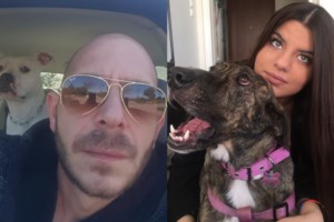 Nέες καταγγελίες για κακοποίηση σκύλου από τον 38χρονο στο Πέραμα