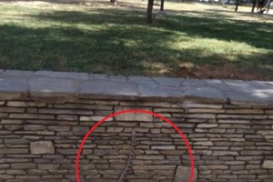 Θεσσαλονίκη: Οχιά δάγκωσε εθελόντρια ερπετολόγο σε σχολείο - Διασωληνώθηκε η 39χρονη - εικόνα 3