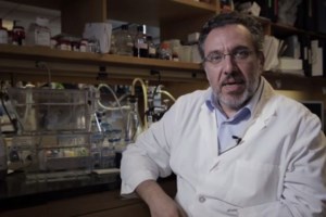 Κορονοϊός: Γιατί χρειάζεται οξύμετρο στο σπίτι - Τα "σιωπηλά" κρούσματα που δεν έχουν δύσπνοια