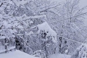 Κακοκαιρία Διομήδης - "Λίμνη" έγινε η Υπέρεια Φαρσάλων: Με… φορτωτές μεταφέρονται οι κάτοικοι [εικόνες - βίντεο] - εικόνα 2