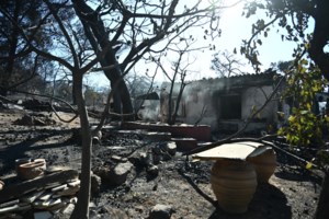 Παραλίγο ατύχημα στην Άνδρο: Το πλοίο έφυγε ξαφνικά, έσπρωχναν ΙΧ από τον καταπέλτη, επιβάτες έτρεχαν να μπουν