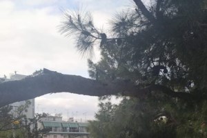 ΕΛ.ΑΣ. για τα επεισόδια στη Ν.Σμύρνη: Διατάχθηκε ΕΔΕ για τα βίντεο με αστυνομικούς να δέρνουν πολίτες