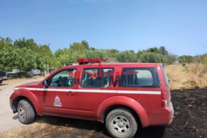 Φωτιά στην Αρκαδία: Ισχυρές επίγειες και εναέριες δυνάμεις επιχειρούν για την κατάσβεση στη Σπαθάρη