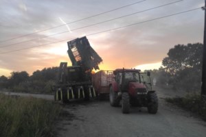 Συνελήφθησαν διακινητές παράνομων μεταναστών στον Έβρο - Κατασχέθηκαν τηλέφωνα και αυτοκίνητα