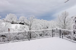 Θεσσαλονίκη: Στον εισαγγελέα οι 15 συλληφθέντες για την επιχείρηση κατάληψης του "Mundo Nuevo"
