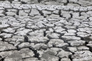 Δυσοίωνη πρόβλεψη Λέκκα: "Η λειψυδρία ήρθε και θα παραμείνει" - Ποιες περιοχές αντιμετωπίζουν μεγάλο πρόβλημα