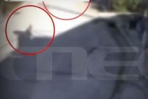 Λευκάδα: Σοβαρός τραυματισμός 14χρονου σε θαλάσσιο σπορ