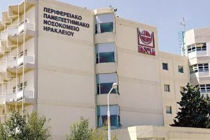 Σκύλος κόλλησε Ευλογιά των Πιθήκων από τα αφεντικά του: Τον άφηναν να κοιμάται μαζί τους - εικόνα 2