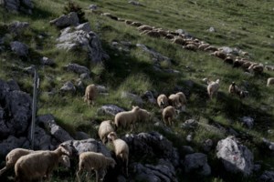 Δήμος στην Αττική παραχώρησε παράνομα χώρους πράσινου σε ιδιώτες για να γίνουν μάντρα και πάρκινγκ - Φυλακή και πρόστιμα