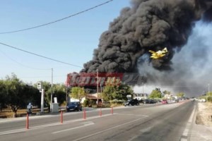 Μία σύλληψη για πρόκληση πυρκαγιάς στην Ηλεία και τρία διοικητικά πρόστιμα σε Μέγαρα, Ξάνθη και Πέλλα