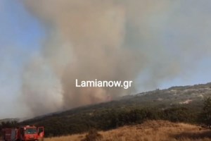 Εικόνες πολέμου στη Νέα Αγχίαλο: Ισχυρές εκρήξεις από πυρομαχικά και ωστικό κύμα - Εκκενώθηκε η περιοχή [Εικόνες - Βίντεο] - εικόνα 8