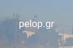 Φωτιά στην Ηλεία: Μικρές εστίες σε Κρυονέρι, Λάσδικα, Μηλιές και Δούκα